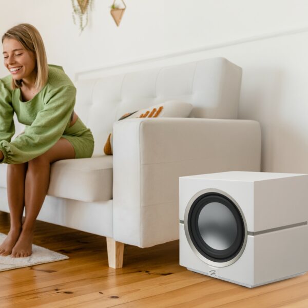 Martin Logan Dynamo 10 Subwoofer - Afbeelding 3