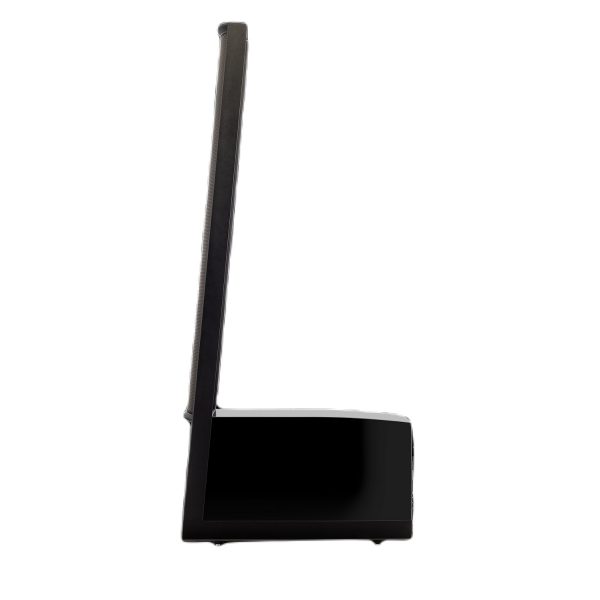 Martin Logan ESL11A Impression luidspreker - Afbeelding 5