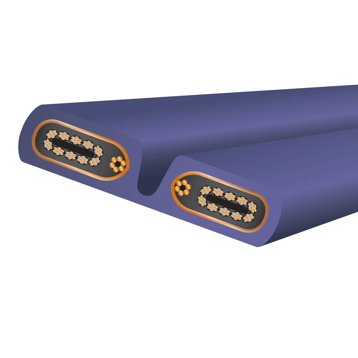 Wireworld Aurora 10 Power Cord - Afbeelding 3